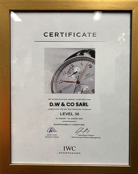 iwc service center mumbai|iwc watch service cost.